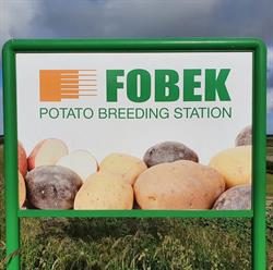 Fobek, St.-Annaparochie openingstijden