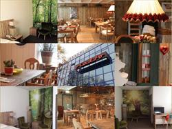 Forest Hotel, Den Helder openingstijden