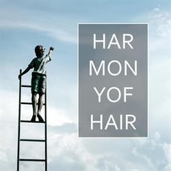 Harmony of Hair, Huissen openingstijden