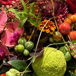 Bloemenboetiek 't Bolletje B.v., Rotterdam openingstijden