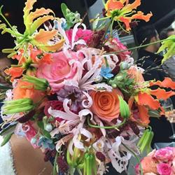 Jasmijn (Bloemen), Haarlem openingstijden