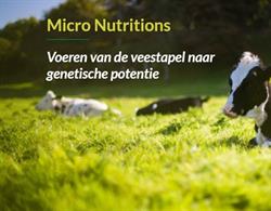 Scheepsma Micro Nutritions, Surhuizum openingstijden