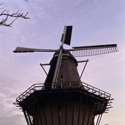 Molen De Krijgsman, Oosterblokker openingstijden