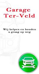 Garage Ter Veld B.v., Grijpskerk openingstijden