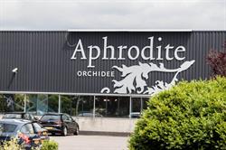 Aphrodite Orchidee Max & Xq, Rozenburg openingstijden