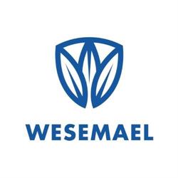 R. van Wesemael, Hulst openingstijden