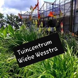 Tuincentrum Wiebe Wesstra, Haulerwijk openingstijden