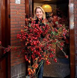 De Bloemerije, Doorn openingstijden