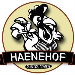 Restaurant Brasserie De Haenehof, Raalte openingstijden