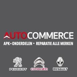 Autocommerce, Vijfhuizen openingstijden