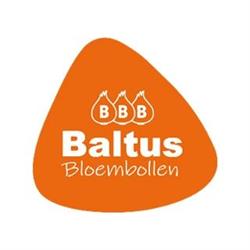 Gebr. Baltus, Vaassen openingstijden