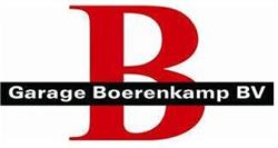 Autobedrijf Boerenkamp BV, Specialist in Nissan / Ligier en Microcar en Linktour Dealer, Deurne openingstijden