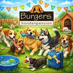 Burgers Hondenpension, Moergestel openingstijden
