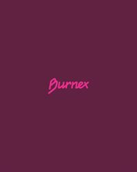 Burnex B.V., IJsselstein openingstijden