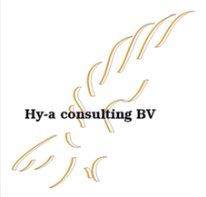 Hy-A. Consulting B.V., Ruurlo openingstijden