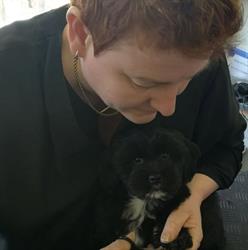Dierenpension en trimsalon kim, Elsendorp openingstijden