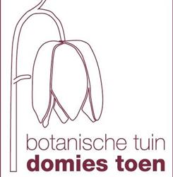 Stichting Domies Toen, Pieterburen openingstijden