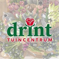 Tuincentrum Drint B.v., Grootegast openingstijden