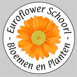 Euroflower Schoorl, openingstijden