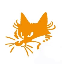 Foxy Design, Zaltbommel openingstijden