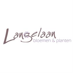 Langelaan bloemen & planten, Schipluiden openingstijden