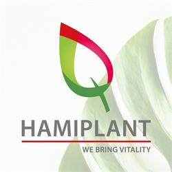 Hamiplant B.v., Honselersdijk openingstijden