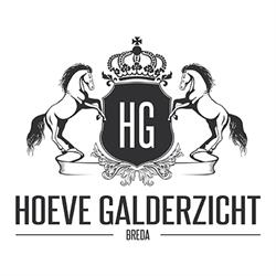 Hoeve Galderzicht, Breda openingstijden