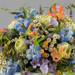 Ilona Bloemen, Amersfoort openingstijden