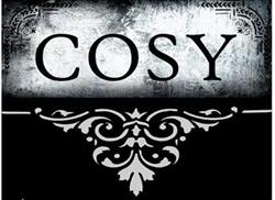 Cosy Kapsalon & Home, Maasdam openingstijden