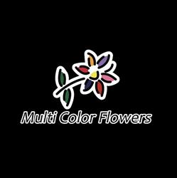 Multicolor Flowers, De Kwakel openingstijden