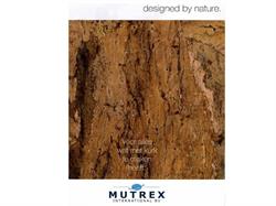 Mutrex International B.v., Rotterdam openingstijden