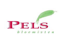 Pels Bloemisten, Woerden openingstijden