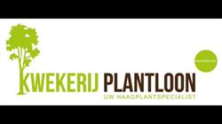 Kwekerij 't Plantloon, Kaatsheuvel openingstijden