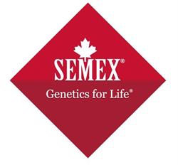 Semex Holland B.v., Leeuwarden openingstijden