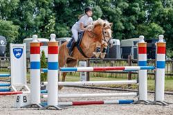 Stal van Helden, Soest openingstijden