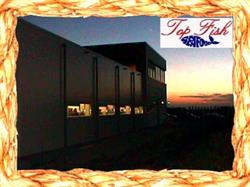 Top Fish Handelmaatschappij, Urk openingstijden
