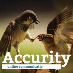 Accurity Consulting Services B.V., Leusden openingstijden