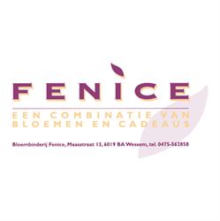 Fenice, Wessem openingstijden