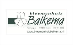 K. Balkema Bloemenhuis&Kwekerij Oud-Kapelle, Bedum openingstijden