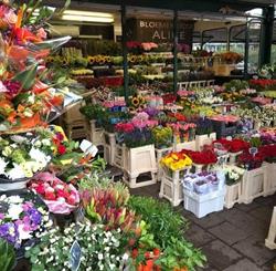 Bloemenkiosk Alice Buitenveldert Amsterdam - openingstijden