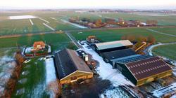 Fa. J. Res & Zn., Castricum openingstijden