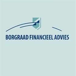 Borgraad Assurantie- & Pensioenadvies, Loosdrecht openingstijden