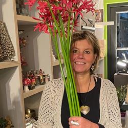 Botanica Bloemenspeciaalzaak, Hilversum openingstijden