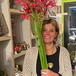 Botanica Bloemenspeciaalzaak, Hilversum openingstijden