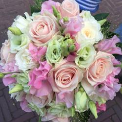 Four Seasons, Baarn openingstijden