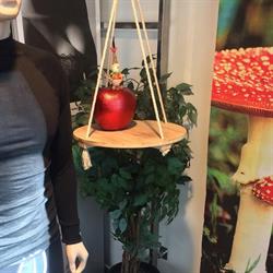 Intima Lingerie, bad- en nachtkleding, Hulst openingstijden