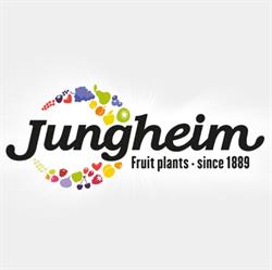 Jungheim Boomkwekerijen, Ottoland openingstijden