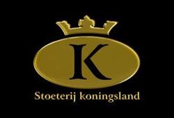 Stoeterij Koningsland, Elst openingstijden