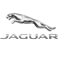 Van Mossel Jaguar Apeldoorn, openingstijden
