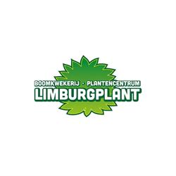Limburgplant, Echt openingstijden